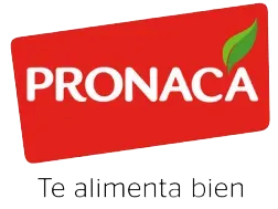 Logo Pronaca